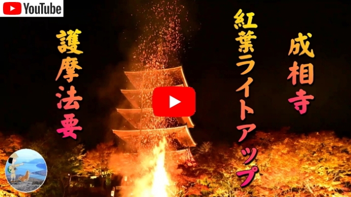 成相寺紅葉ライトアップ
