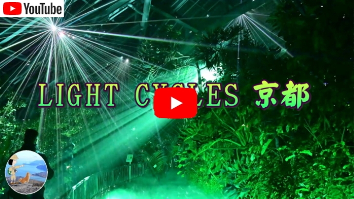 ライトサイクル京都