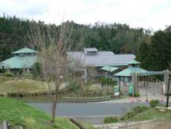 ���t������̗�