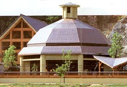 �V���N����