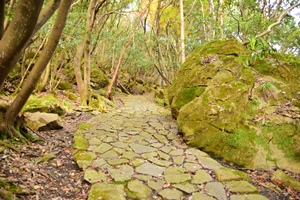 石畳の古道