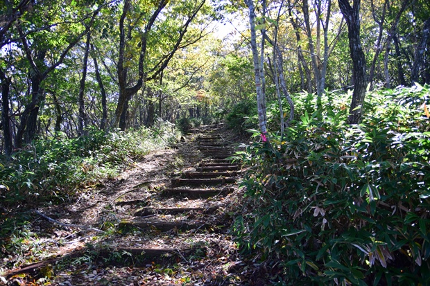 鍋塚への登山道
