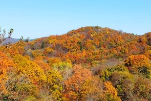 木子の山々の紅葉
