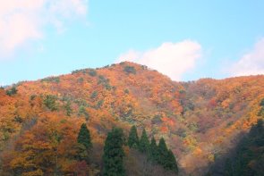 野間の山々の紅葉