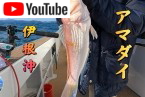 アマダイ釣り